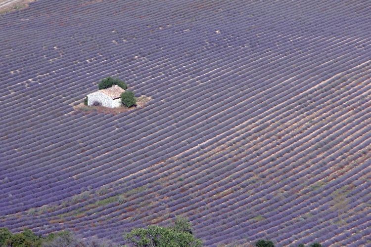 Bories et Cabanes de Provence – photo 7 sur 16
