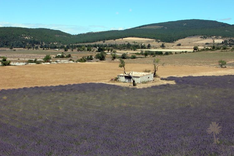 Bories et Cabanes de Provence – photo 16 sur 16
