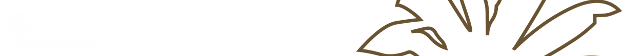 Kazanou