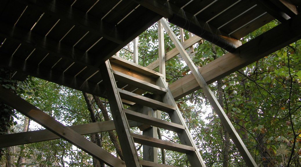 La Cabane dans les Pins – photo 3