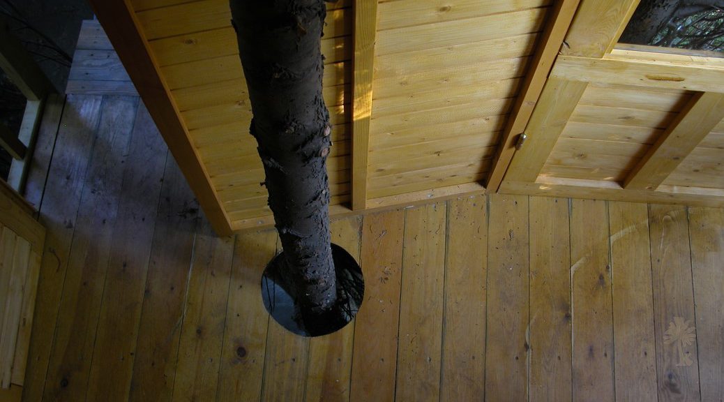 La Cabane dans les Tuyas – photo 4