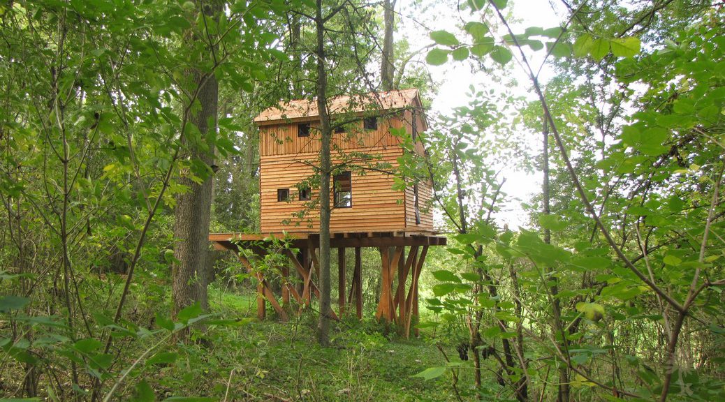 La Cabane Inachevée – photo 3