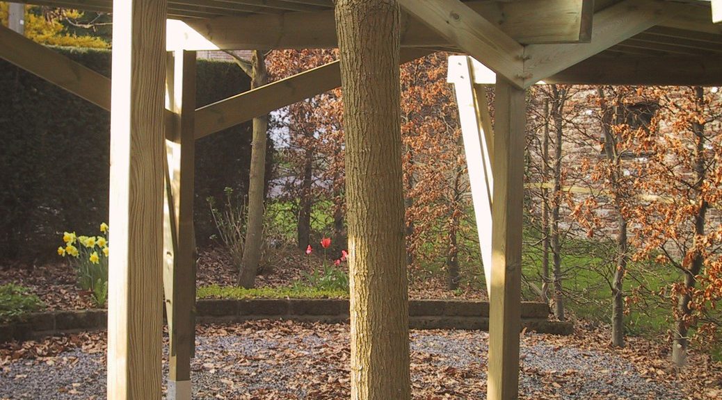 Le Carport Double – photo 2